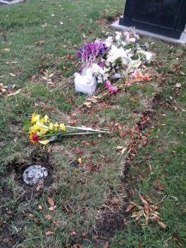 12064132_831442750286941_2096025681_n